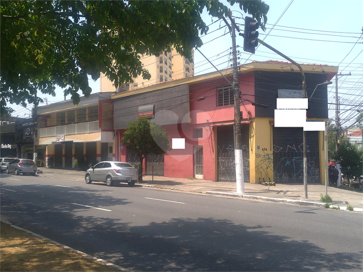 Foto REO448533