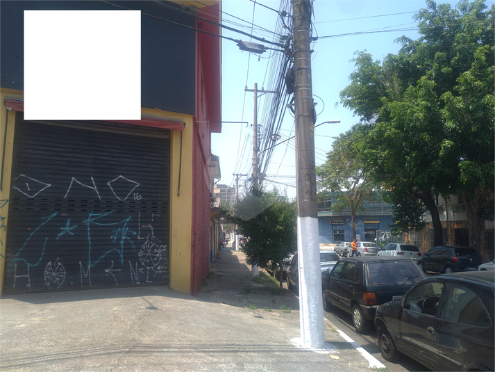 Foto REO448533