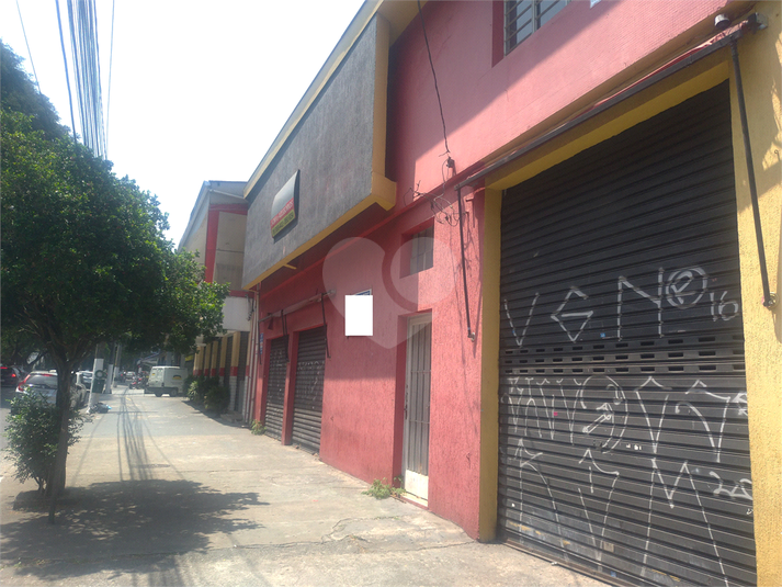 Foto REO448533