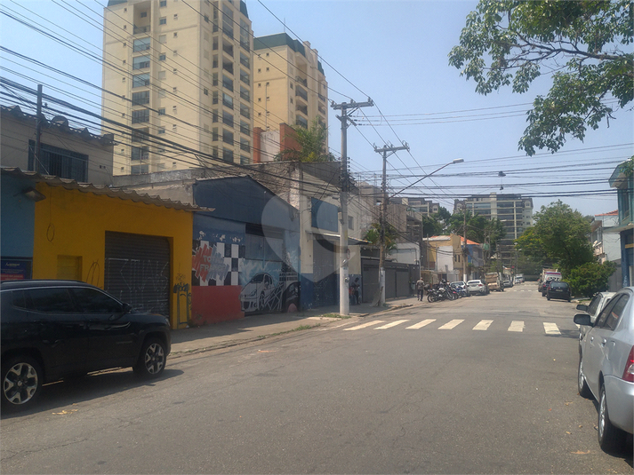 Foto REO448533