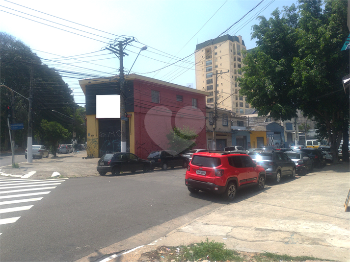 Foto REO448533