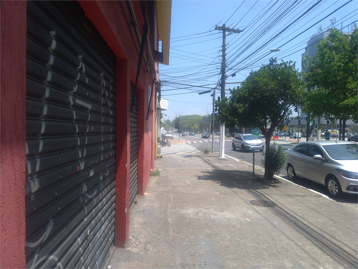 Foto REO448533