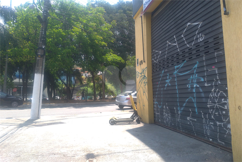 Foto REO448533