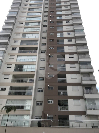 Foto REO448560