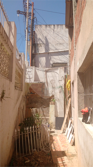 Foto REO448688