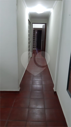 Foto REO448746