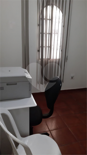 Foto REO448746