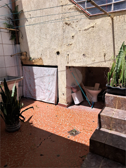 Foto REO449087