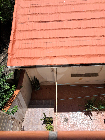 Foto REO449087