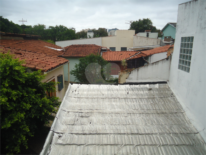 Foto REO449087