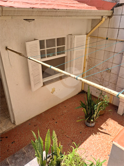 Foto REO449087