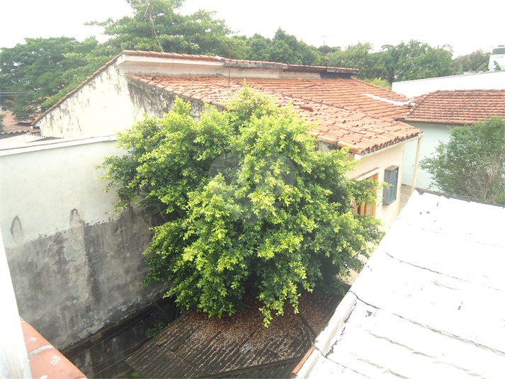 Foto REO449087