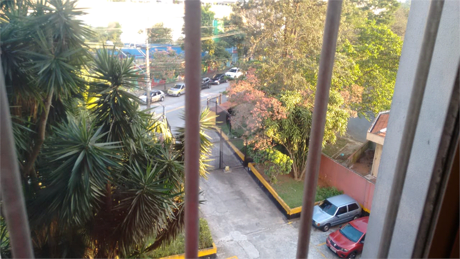 Foto REO450582