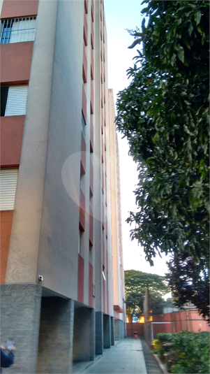 Foto REO450582