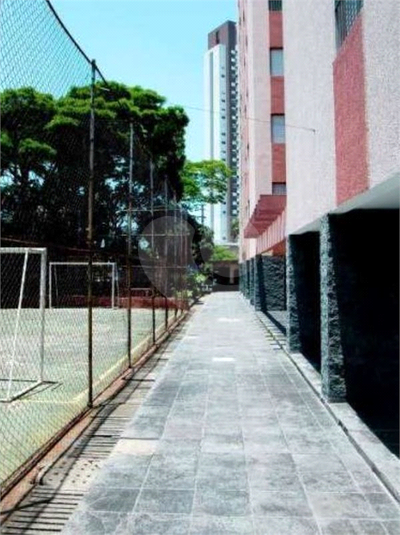 Foto REO450582