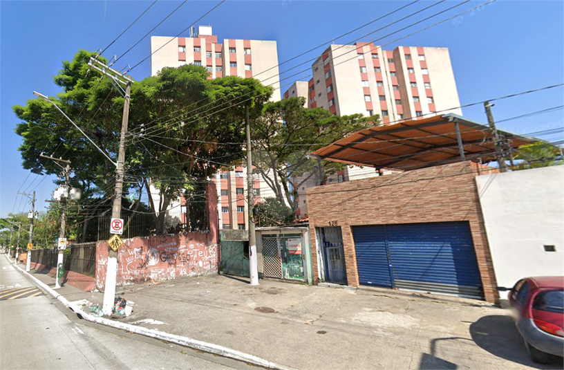 Foto REO450582