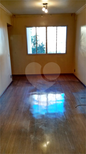 Foto REO450582