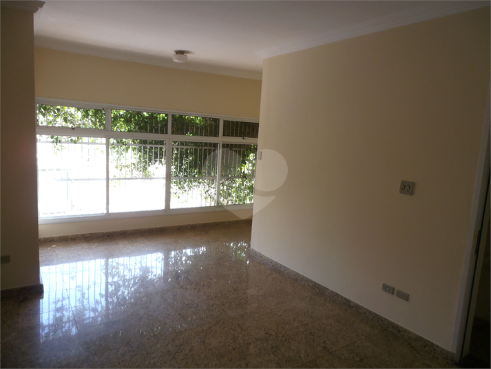 Foto REO450798