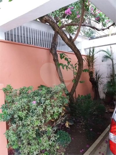 Foto REO450868