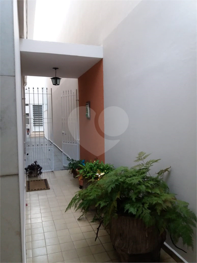 Foto REO450868