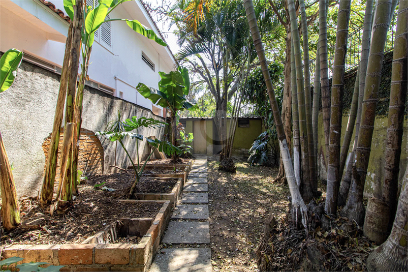 Venda Casa São Paulo Butantã REO451621 8