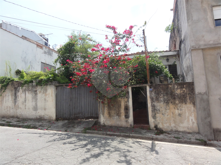 Foto REO451876