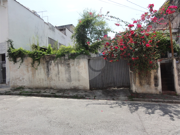Foto REO451876