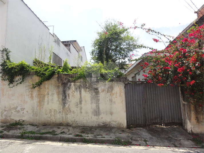 Foto REO451876
