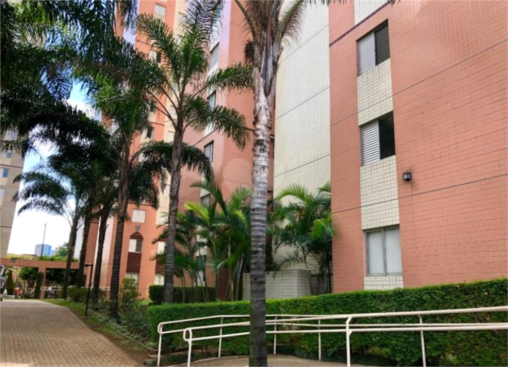 Venda Apartamento São Paulo Cambuci REO452025 14