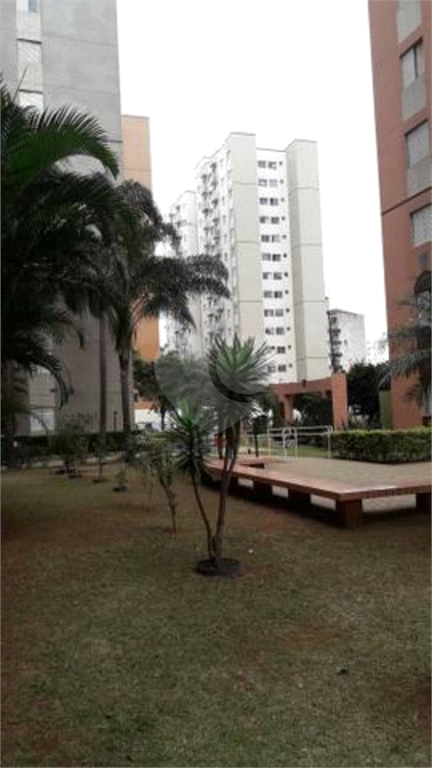 Venda Apartamento São Paulo Cambuci REO452025 13