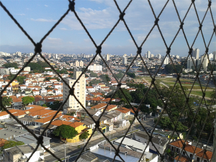 Foto REO45283