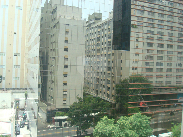 Foto REO453629