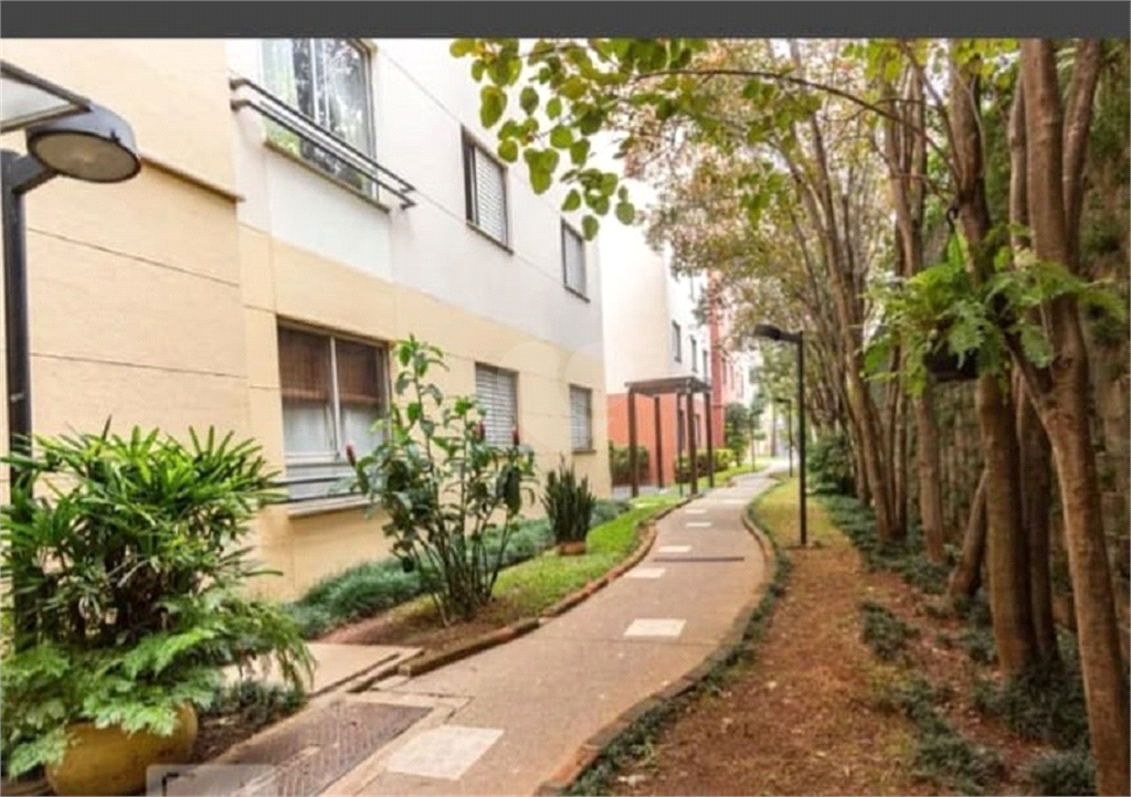 Venda Apartamento São Paulo Fazenda Morumbi REO45375 19