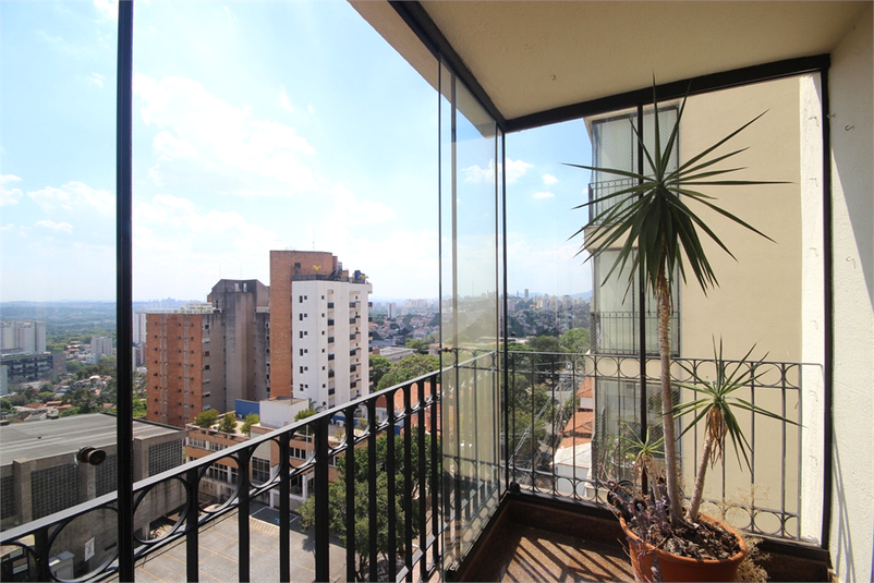 Foto REO453947