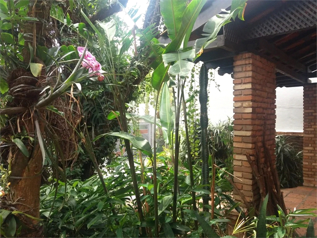 Venda Casa São Paulo Chácara Japonesa REO454025 60