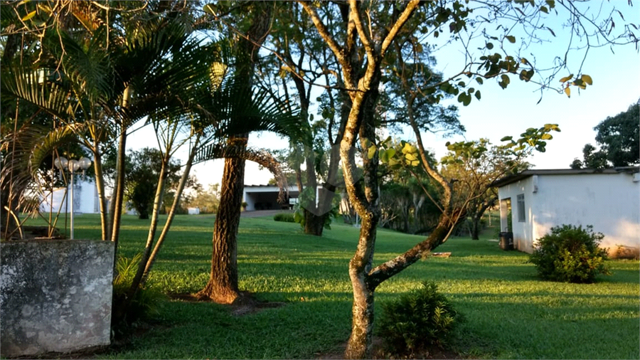 Foto REO454262