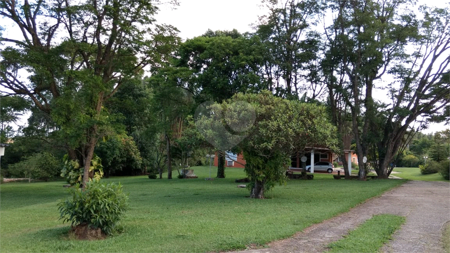 Foto REO454262