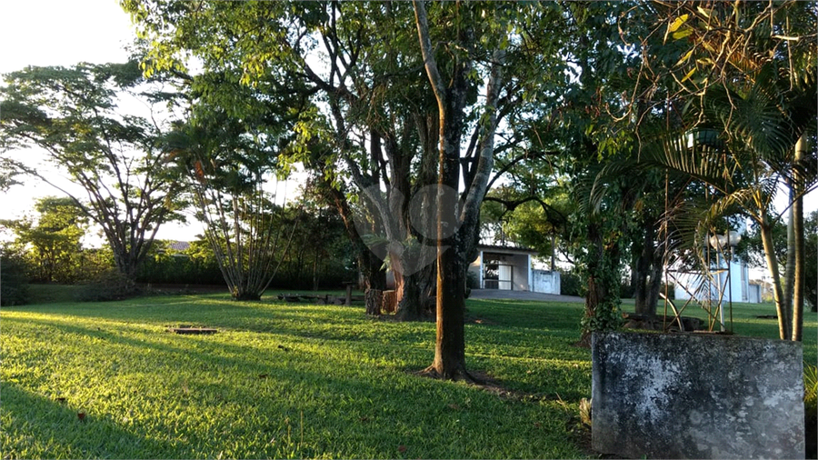 Foto REO454262