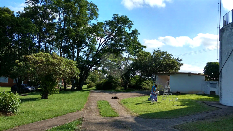 Foto REO454262