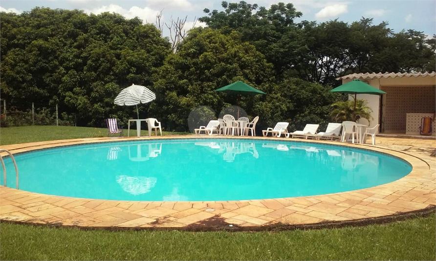 Foto REO454262