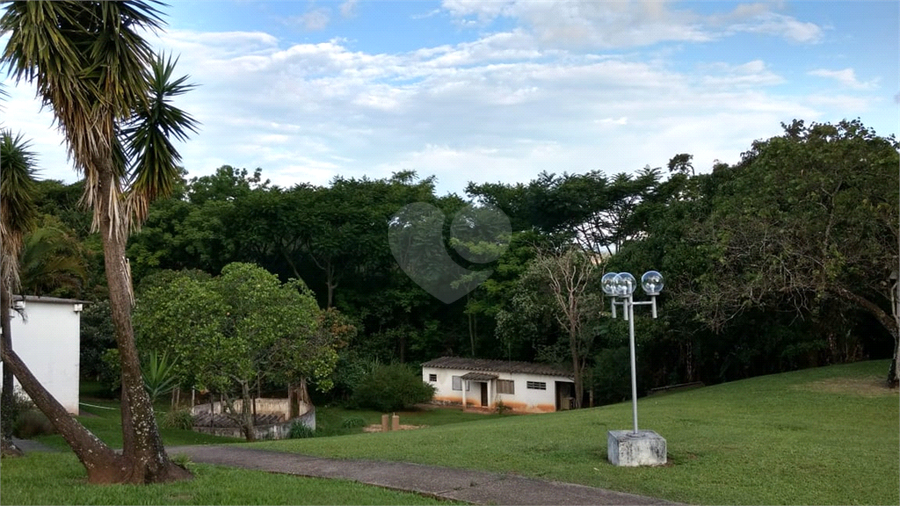 Foto REO454262