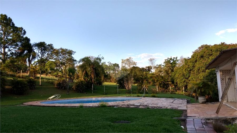 Foto REO454262