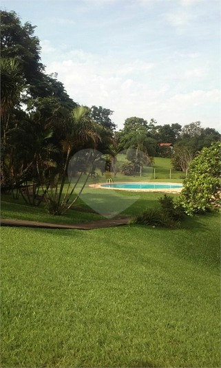 Foto REO454262