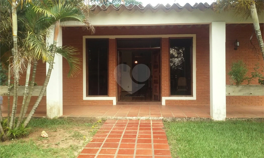 Foto REO454262