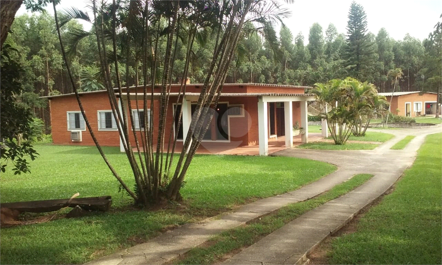 Foto REO454262