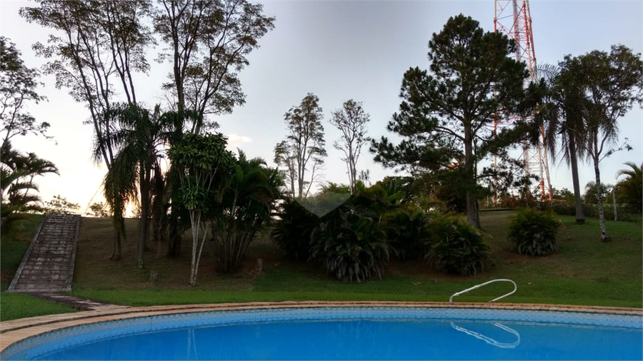 Foto REO454262