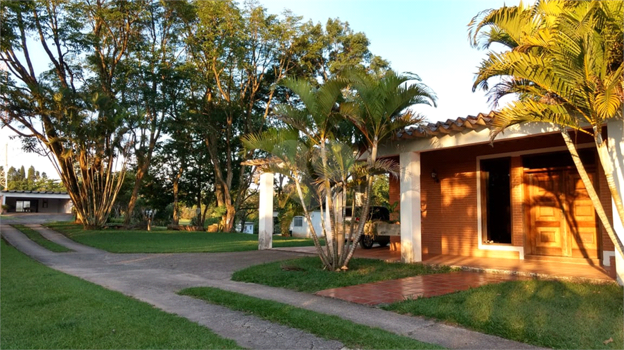 Foto REO454262