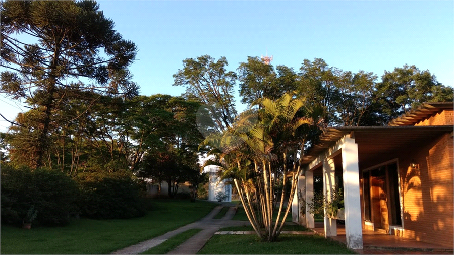 Foto REO454262
