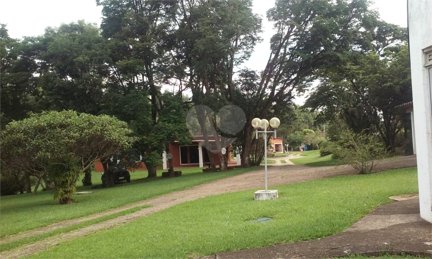 Foto REO454262