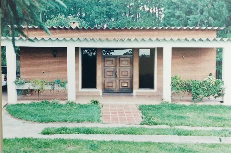 Foto REO454262
